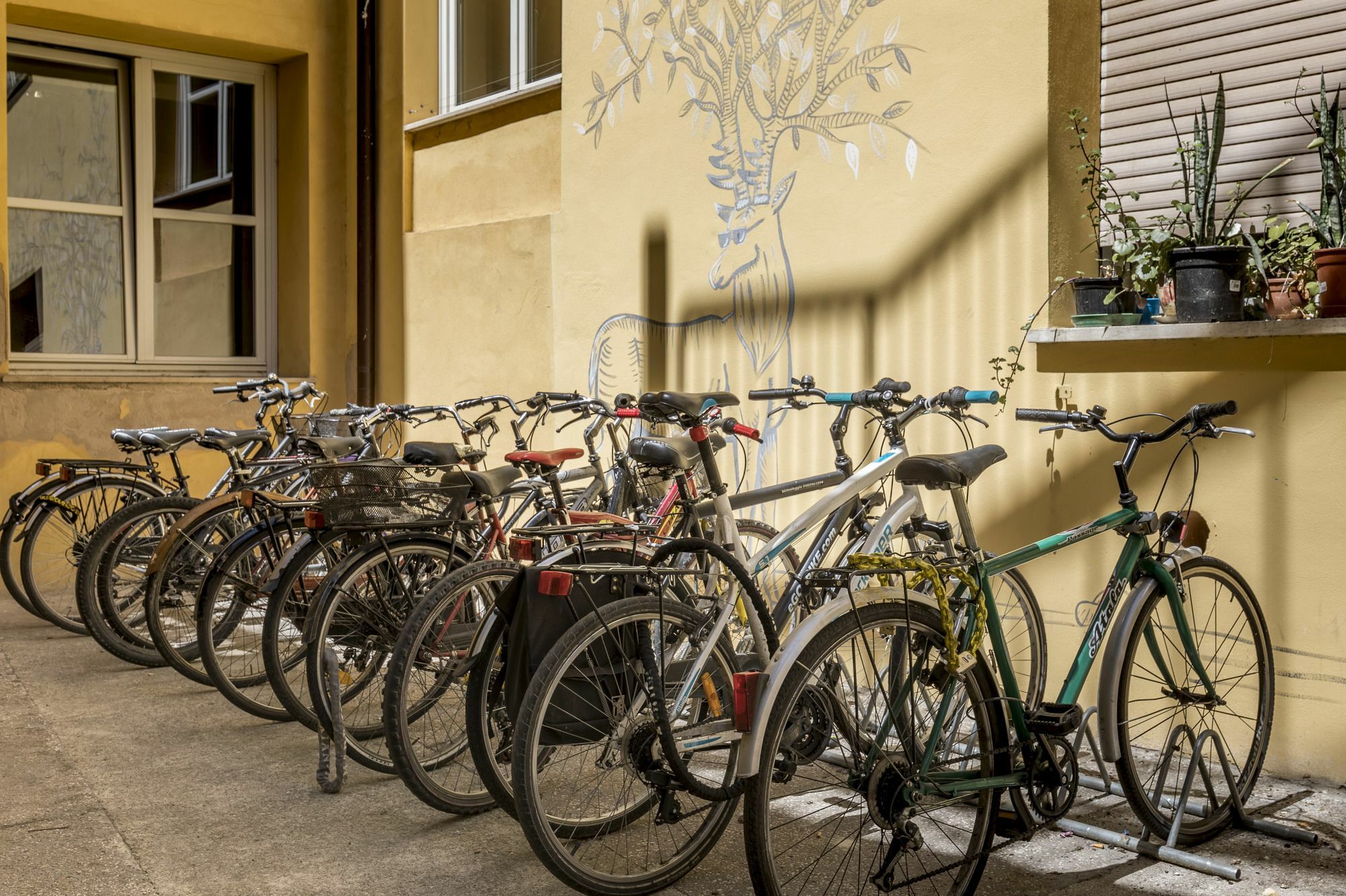 San Filippo Neri Hostel *